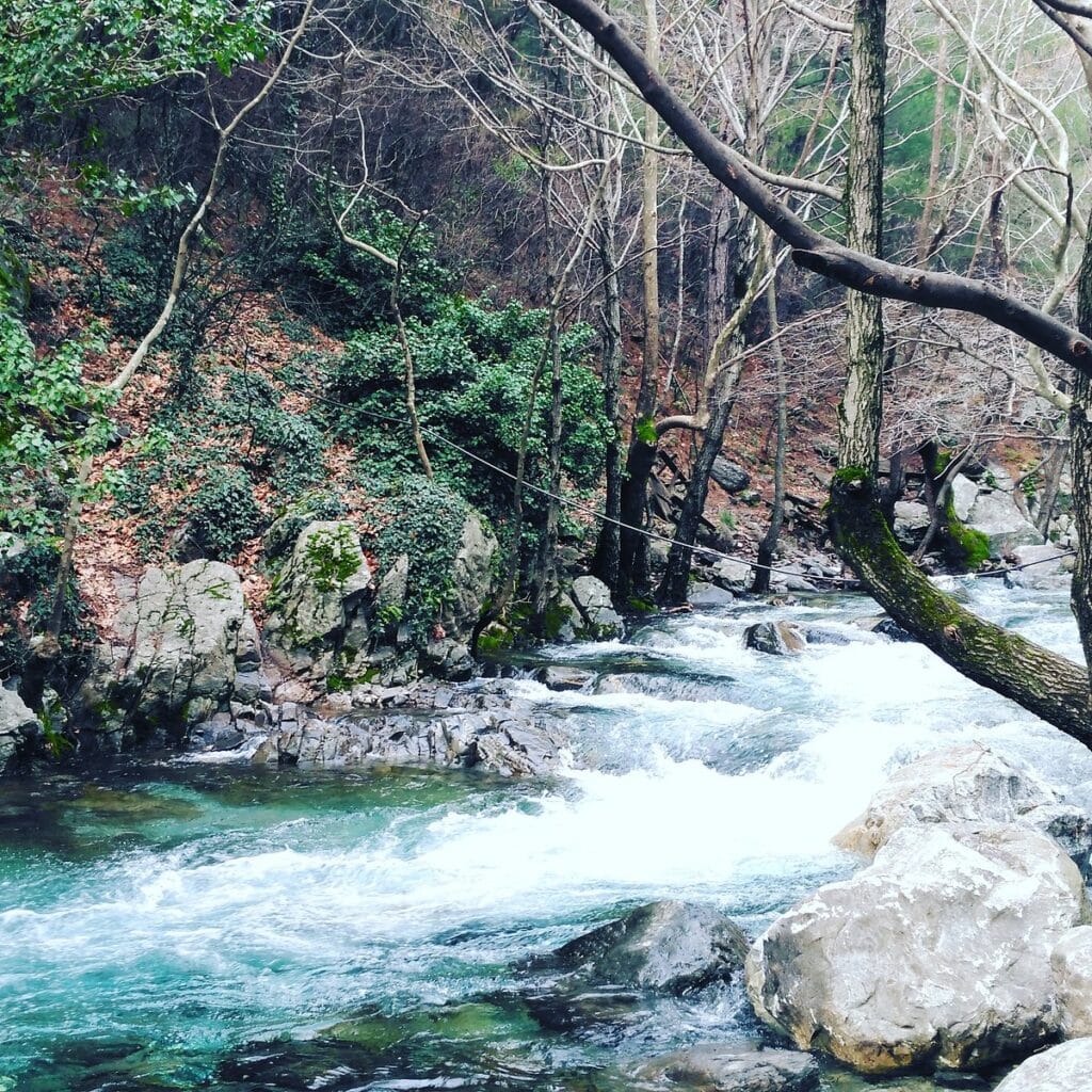 Kazdağı Milli Parkı