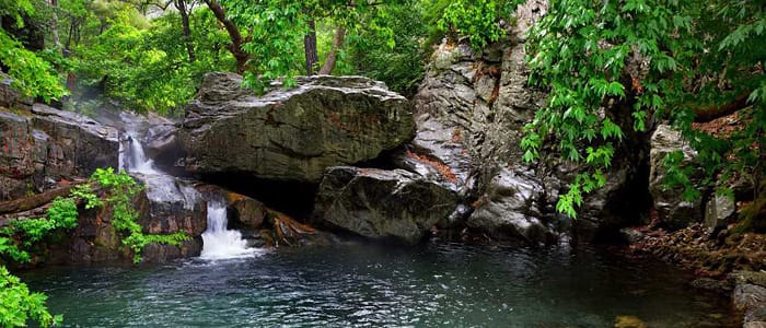 Kazdağı Milli Parkı